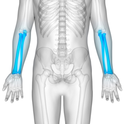 Indication: Radius & Ulna